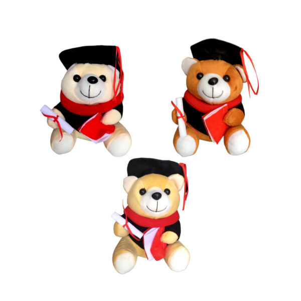 Graduation Teddy Bear - Image 6