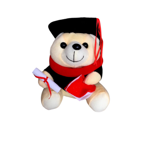 Graduation Teddy Bear - Image 2