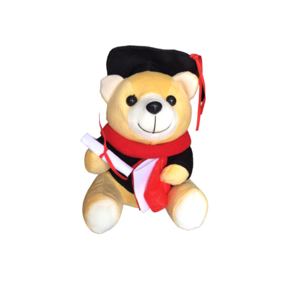 Graduation Teddy Bear - Image 3