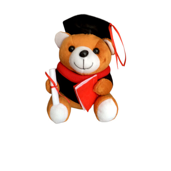 Graduation Teddy Bear - Image 4