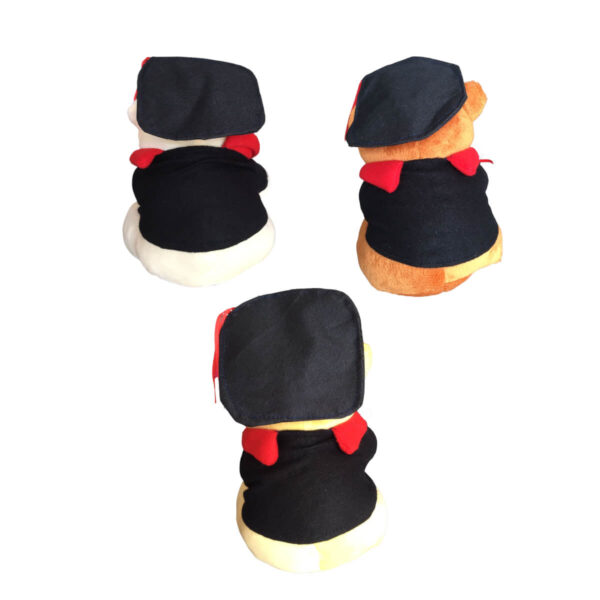 Graduation Teddy Bear - Image 7